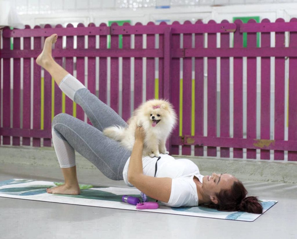 Собаки в дубае. Дубай собаки. Puppy Pilates в Тюмени. Собака в Дубае фото. Дубай собака в доме.